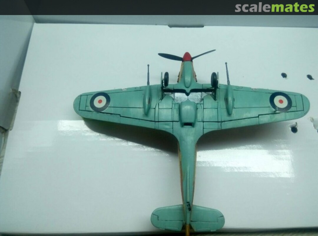 View album, image #1 View album, image #1