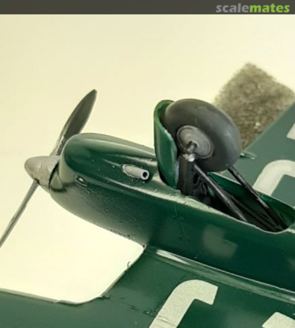 View album, image #7 View album, image #7