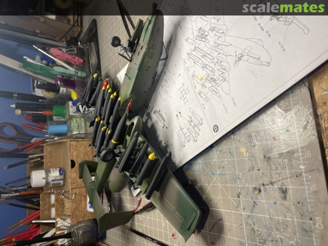 View album, image #1