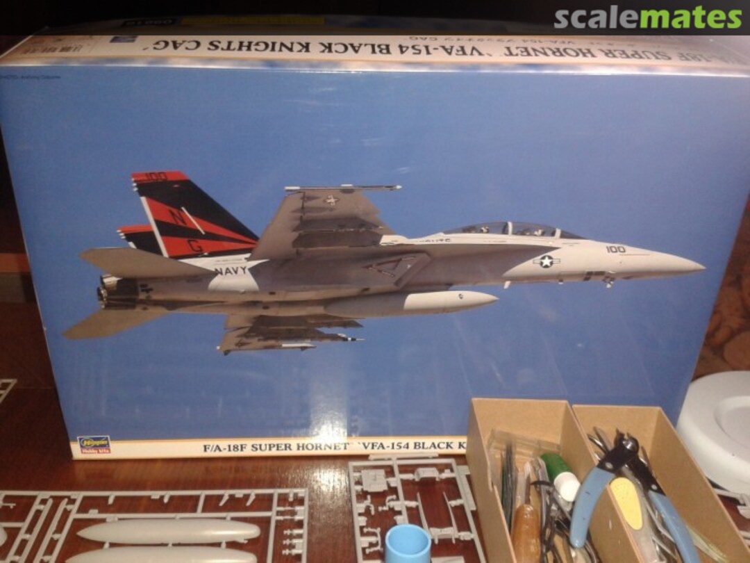 View album, image #1 View album, image #1