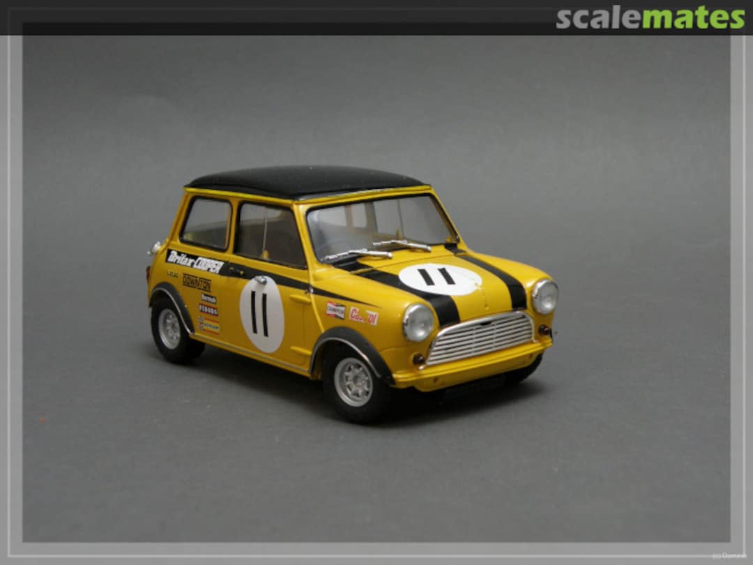 View album, image #1 View album, image #1