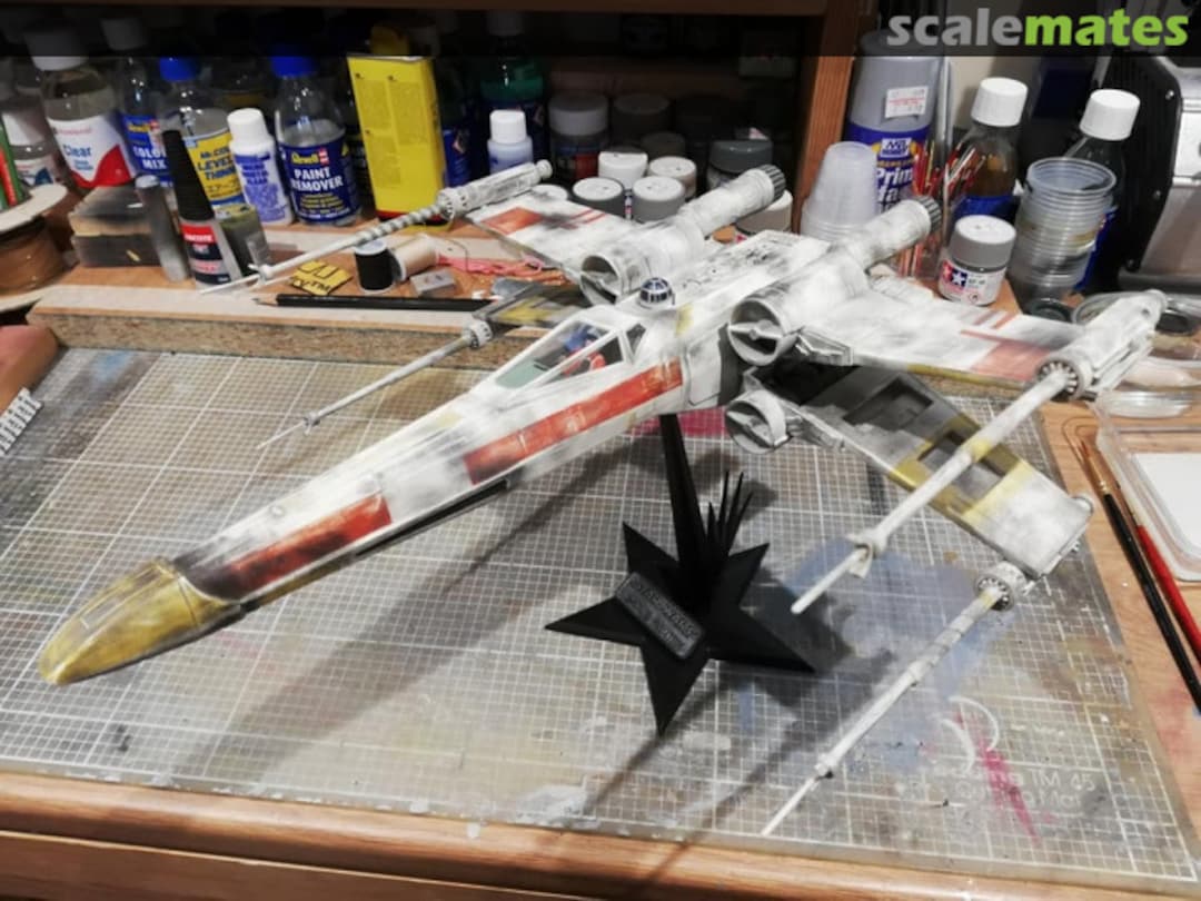 View album, image #1 View album, image #1