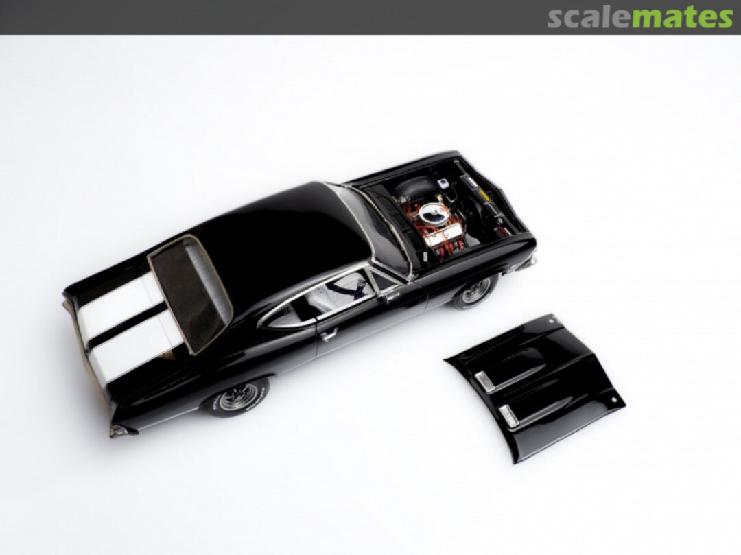 View album, image #1