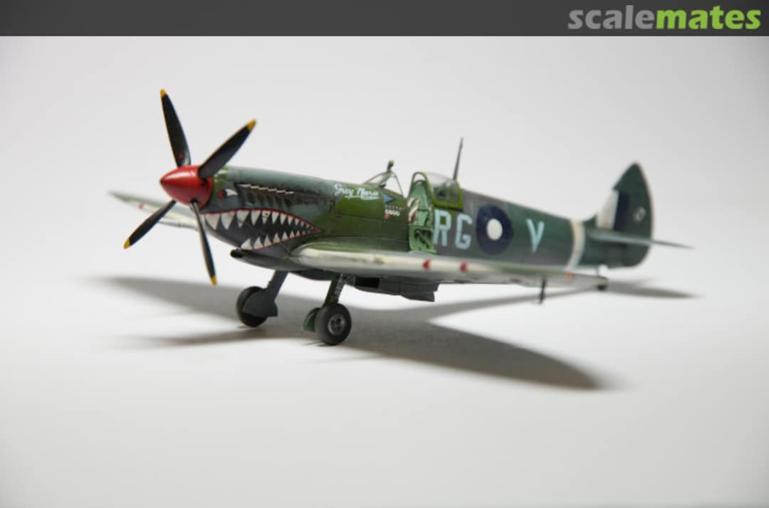 View album, image #1 View album, image #1