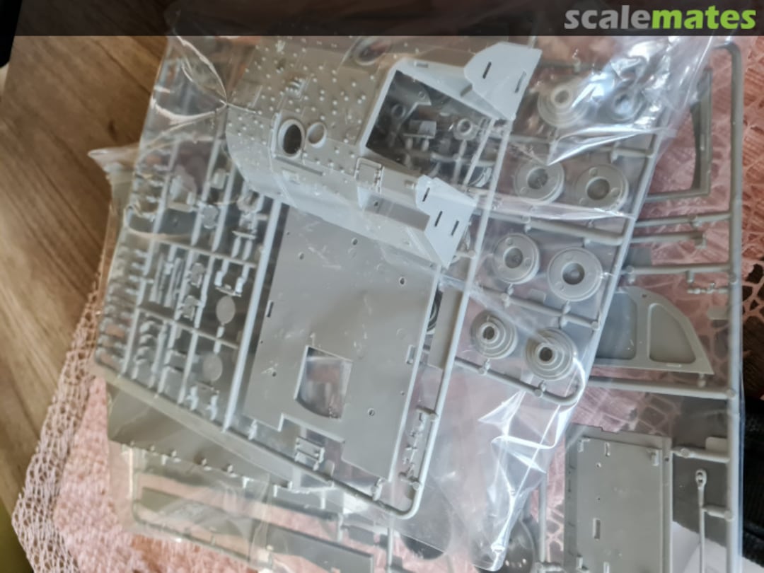 View album, image #1