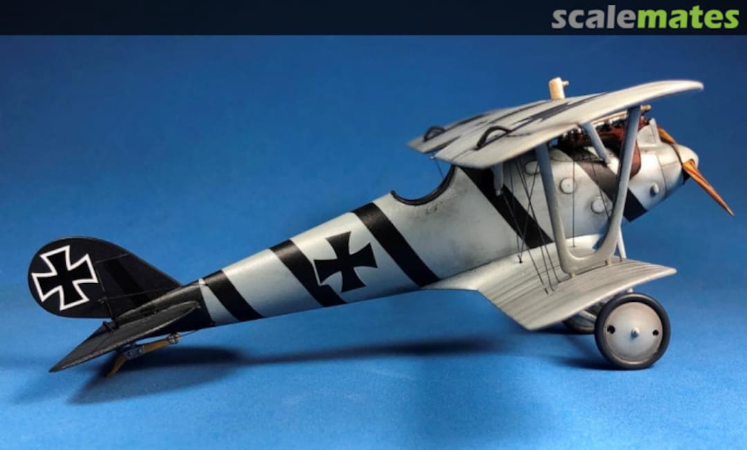 View album, image #1 View album, image #1