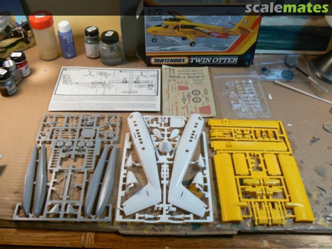 View album, image #1 View album, image #1