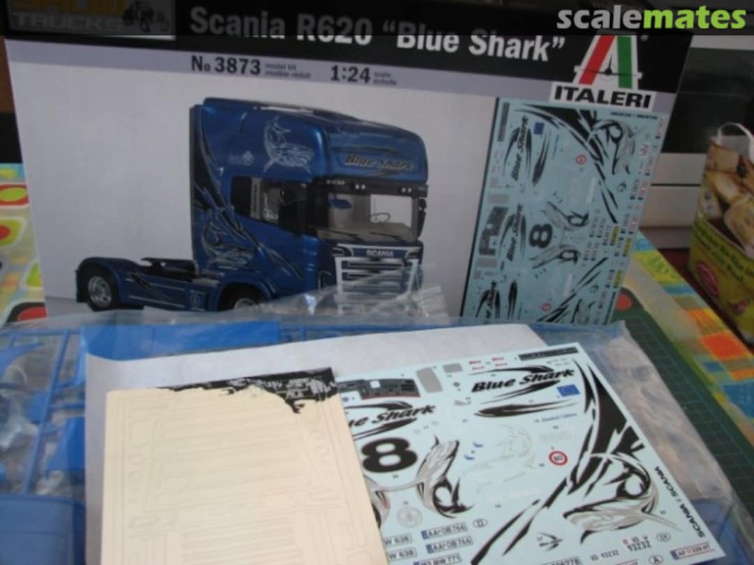 View album, image #1 View album, image #1