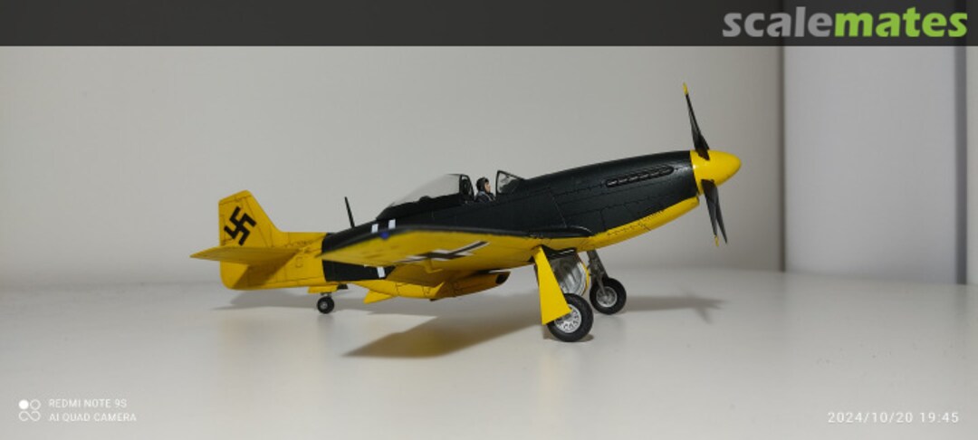 View album, image #1 View album, image #1