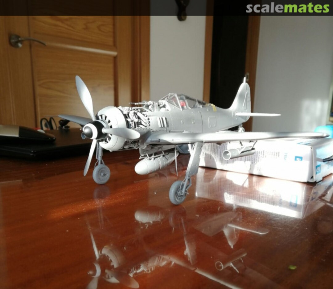 View album, image #1