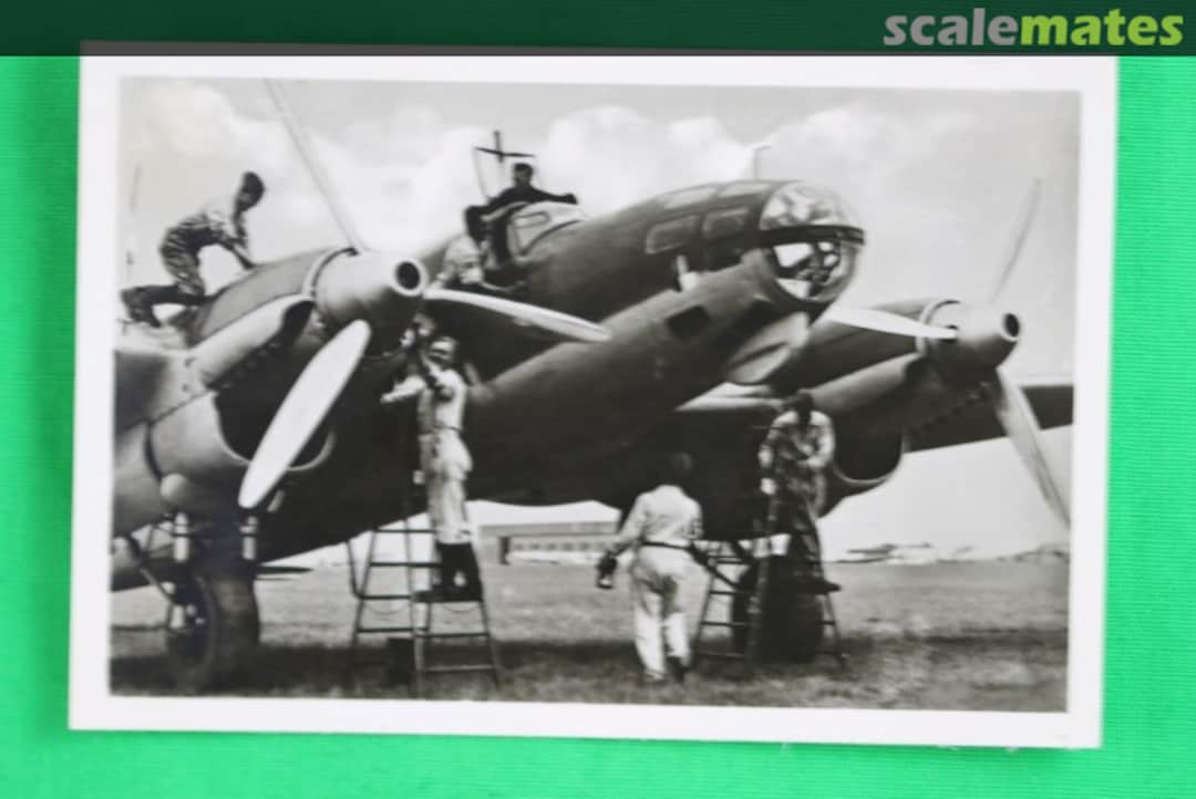 View album, image #1 View album, image #1