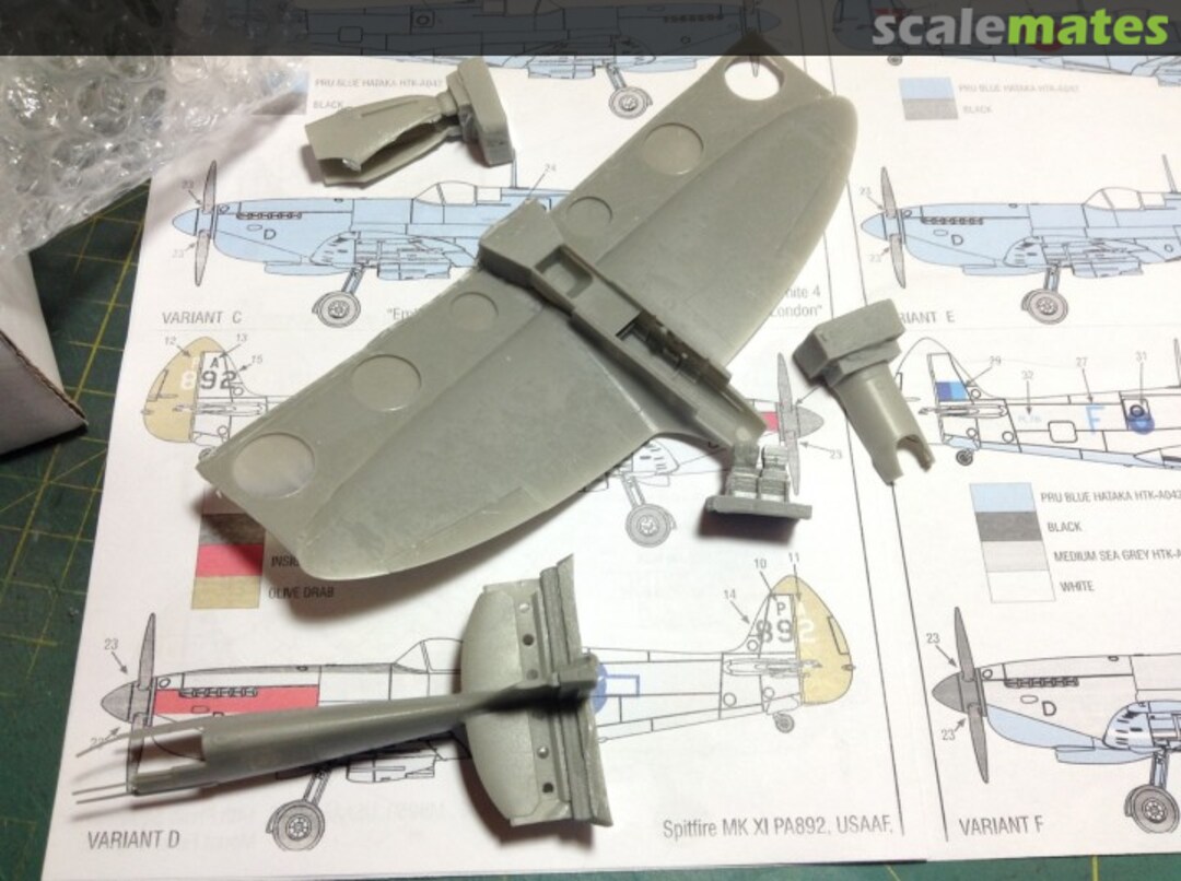 View album, image #2 View album, image #2