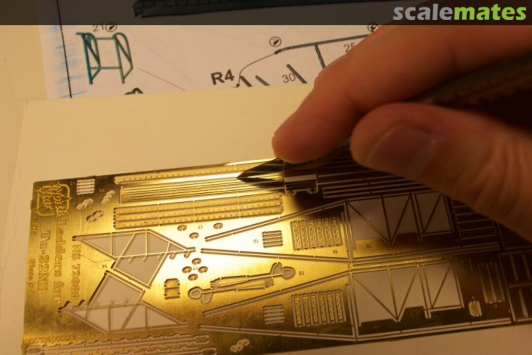 View album, image #1