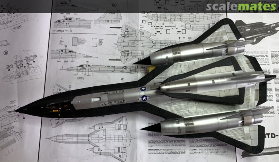 View album, image #28 View album, image #28