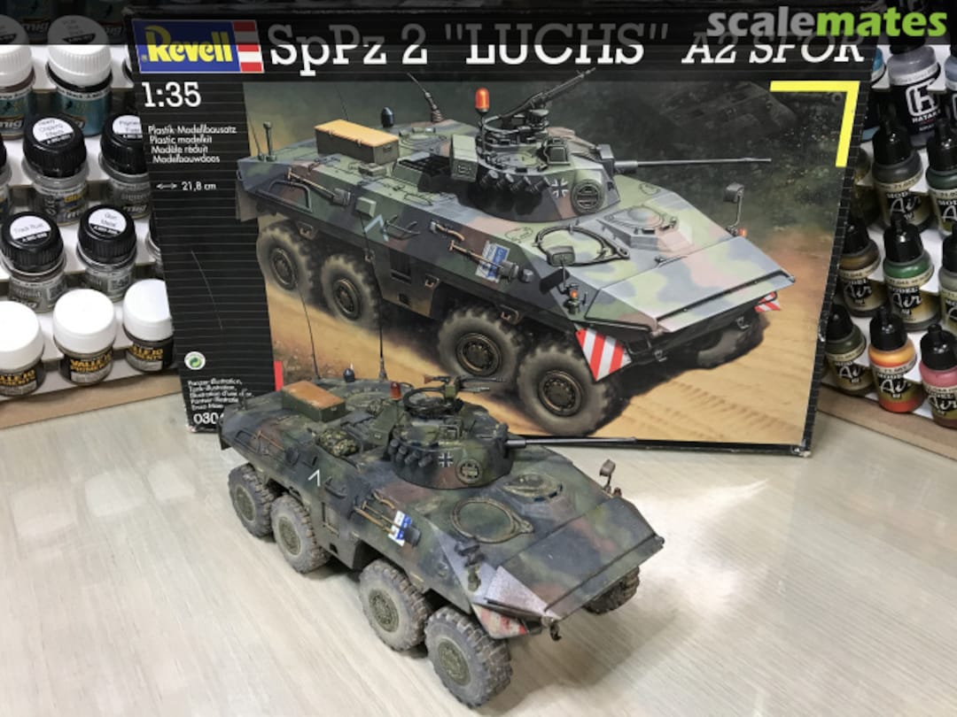 View album, image #1 View album, image #1