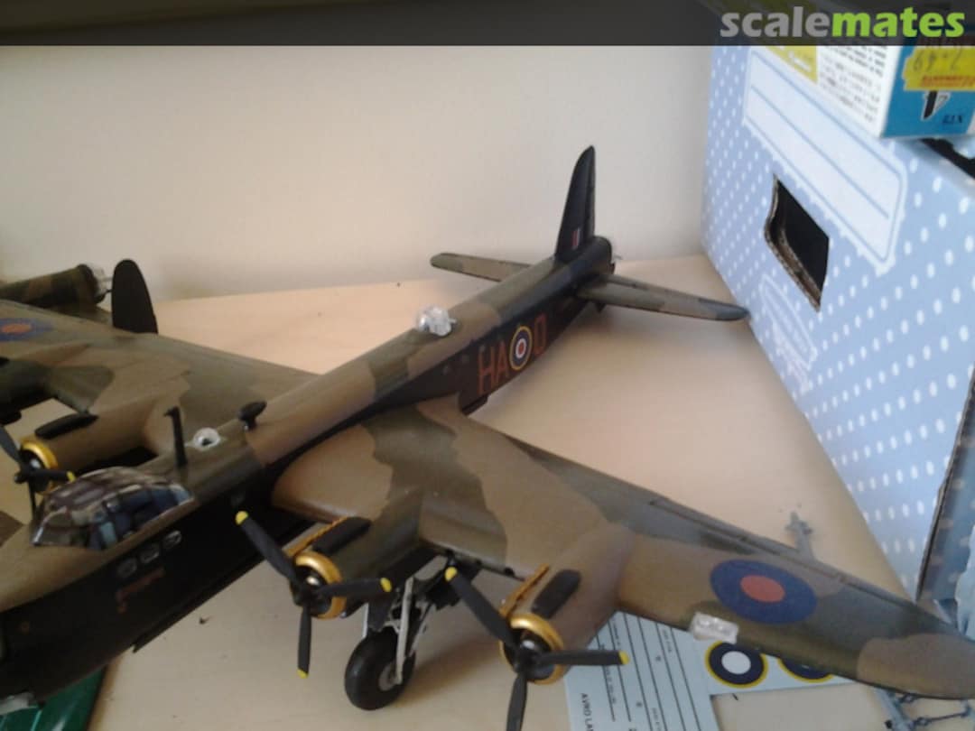 View album, image #1