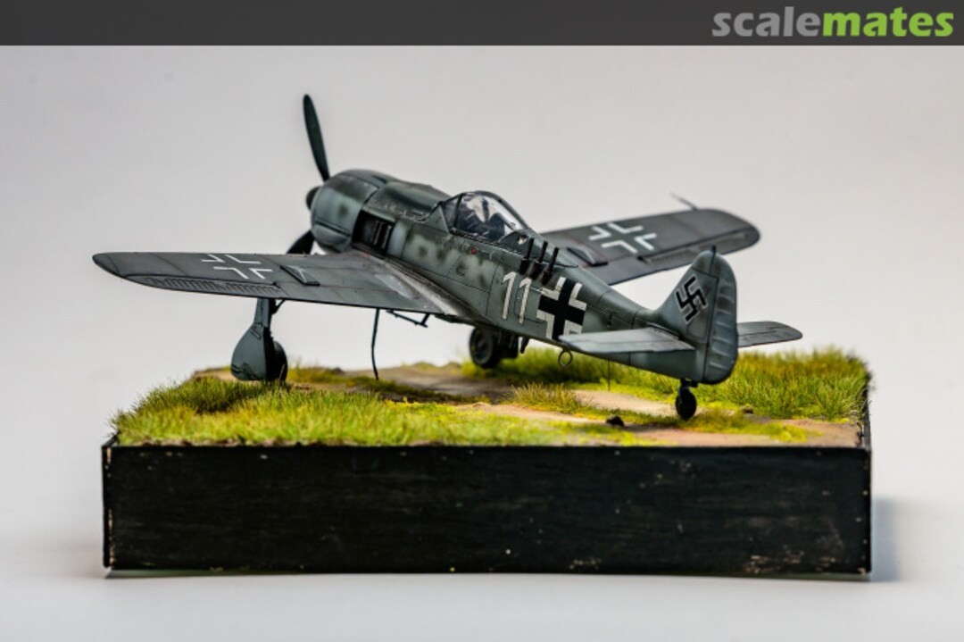 View album, image #1 View album, image #1