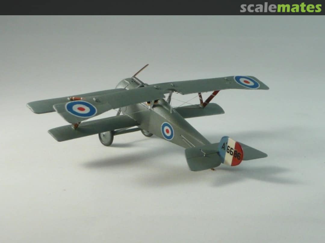 View album, image #1