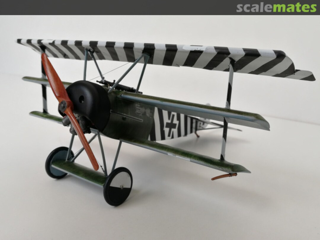 View album, image #1