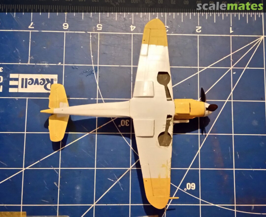 View album, image #1 View album, image #1