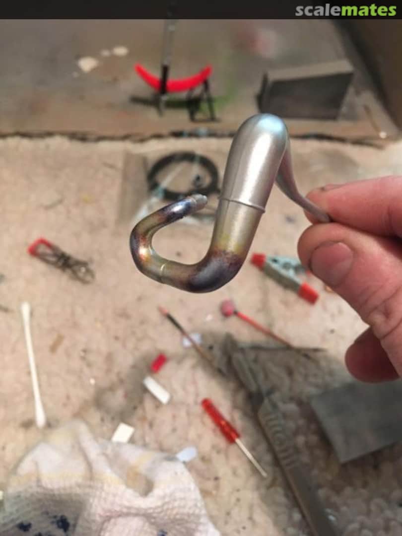 View album, image #1 View album, image #1