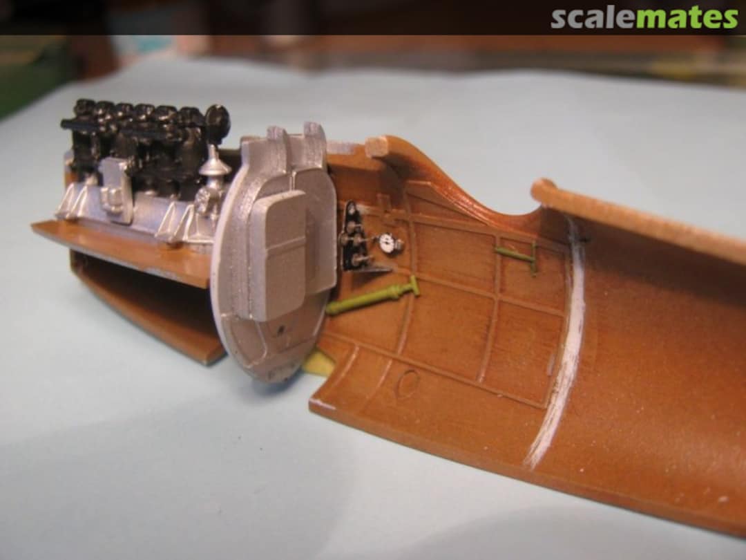 View album, image #1 View album, image #1