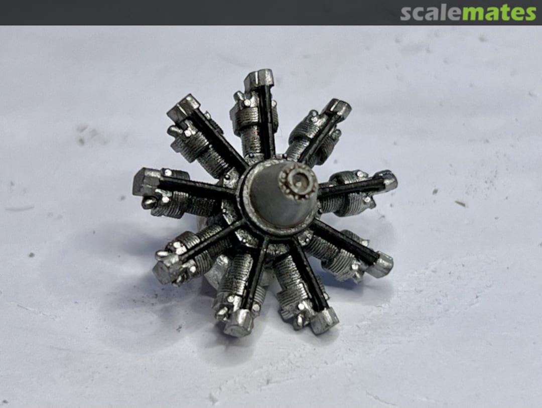 View album, image #18 View album, image #18