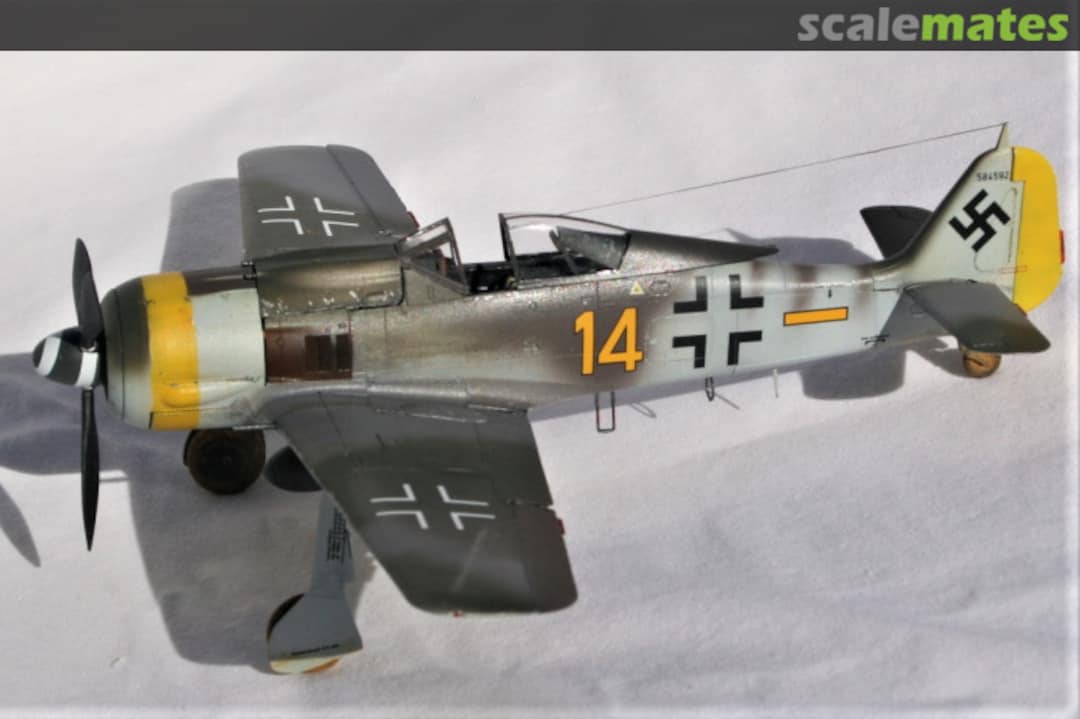 View album, image #1