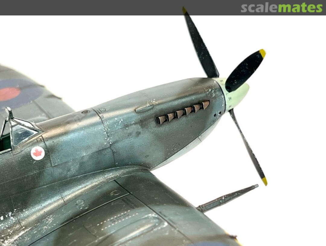 View album, image #1 View album, image #1