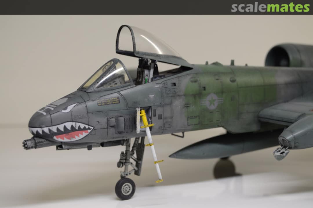 View album, image #46