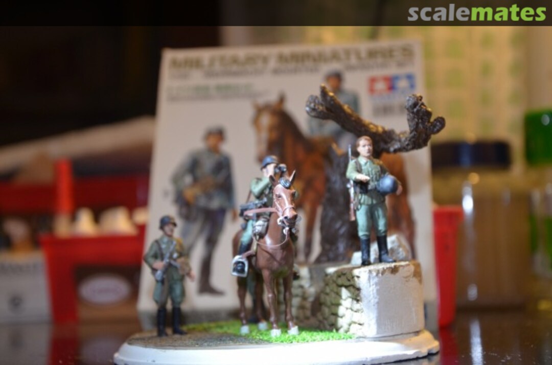 View album, image #1 View album, image #1