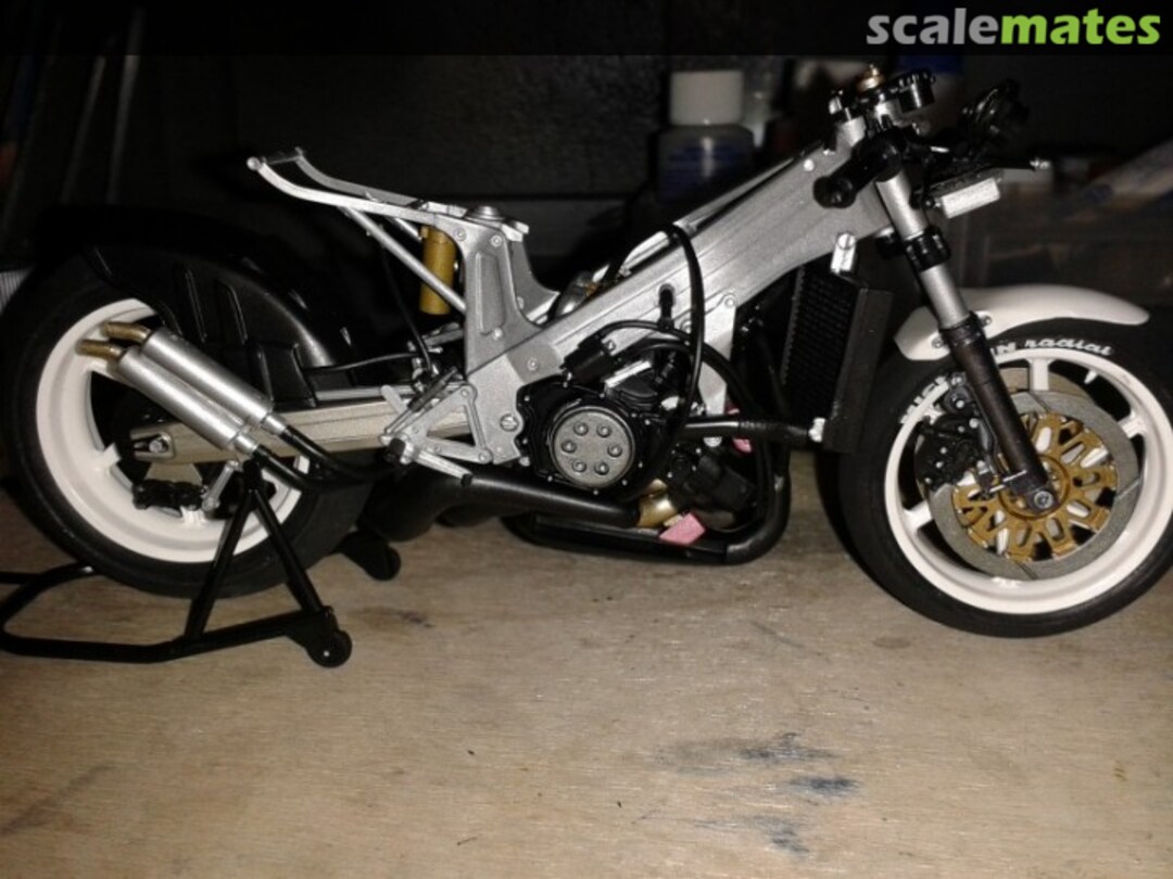 View album, image #1 View album, image #1