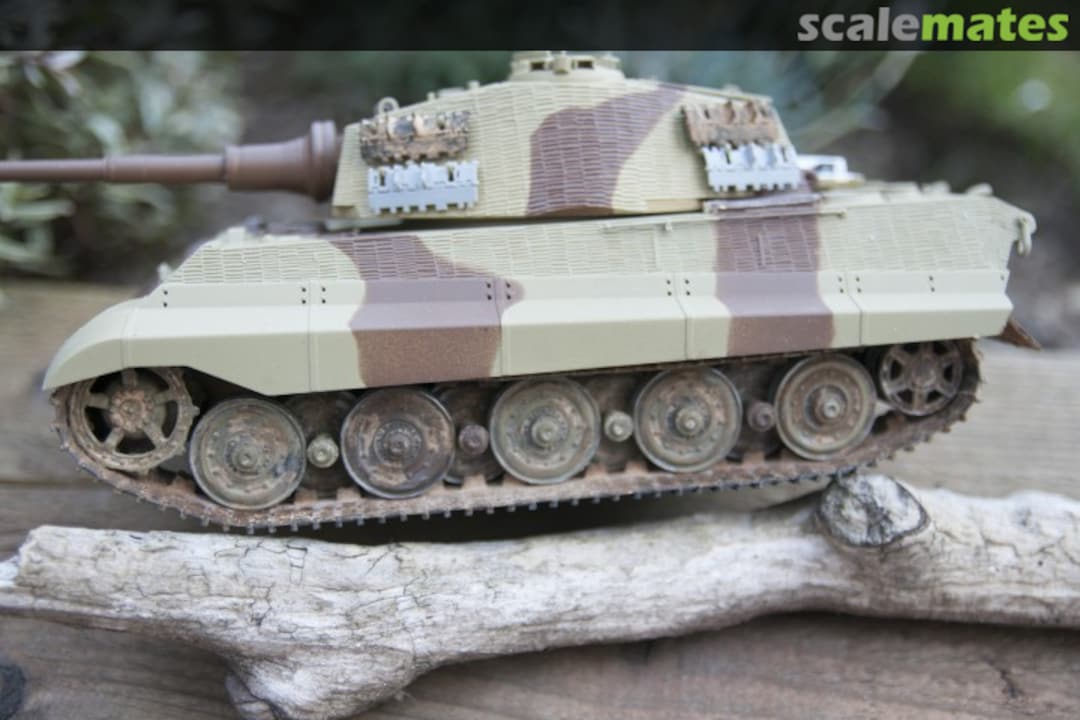 View album, image #1 View album, image #1