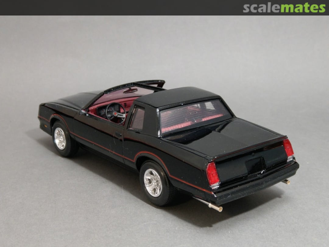 View album, image #1 View album, image #1