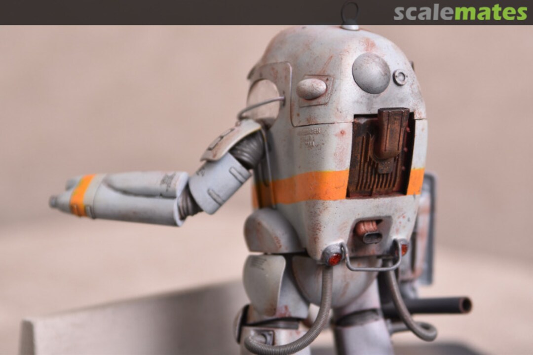 View album, image #5 View album, image #5