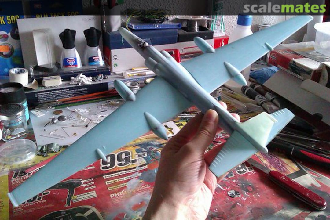 View album, image #71 View album, image #71