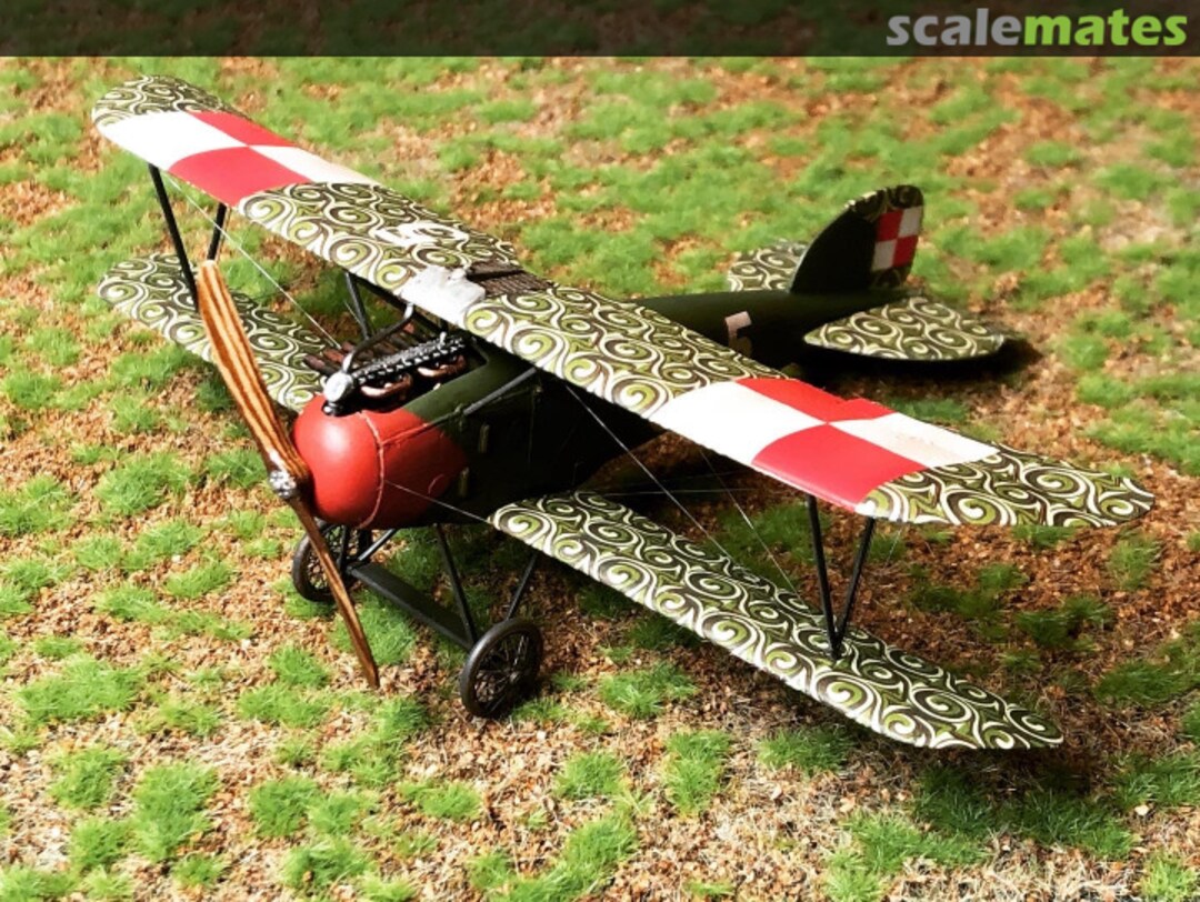 View album, image #1