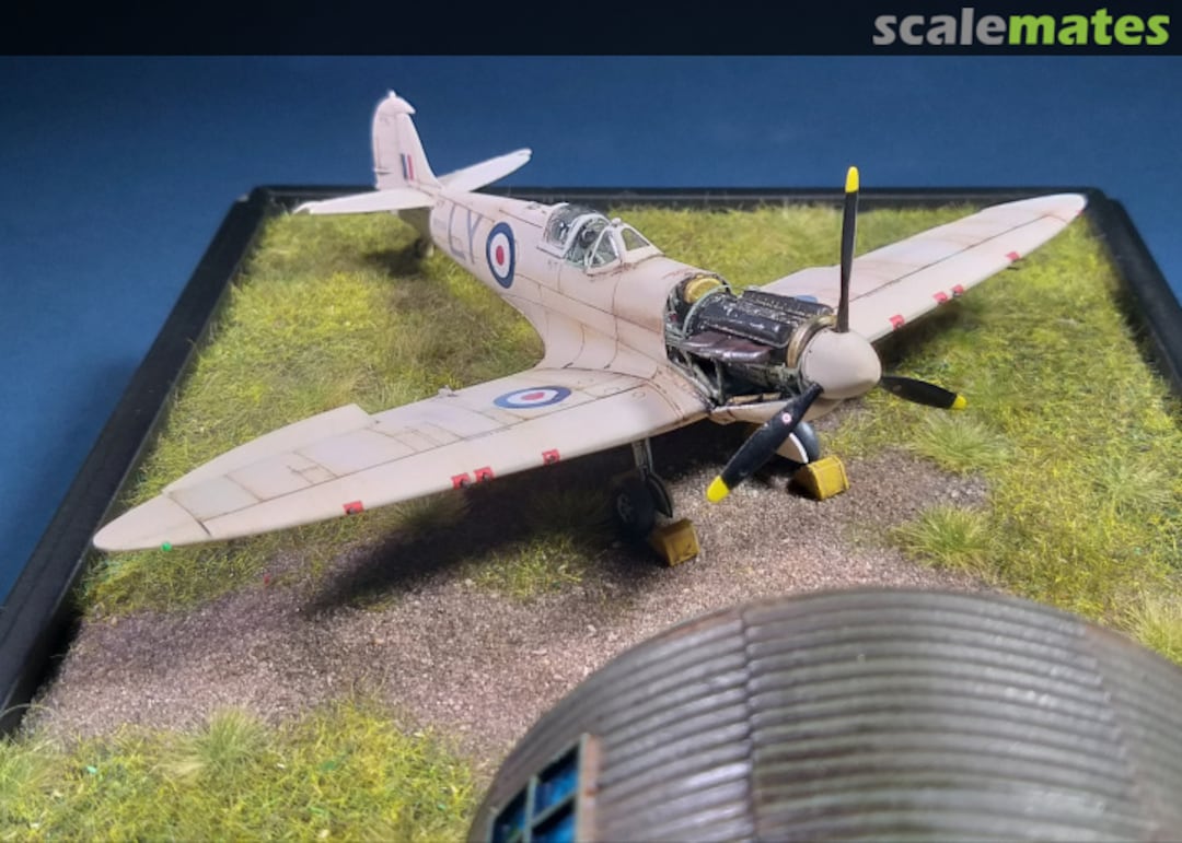 View album, image #8 View album, image #8