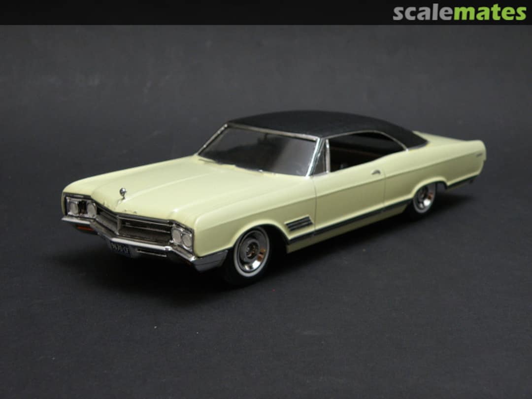 View album, image #1 View album, image #1