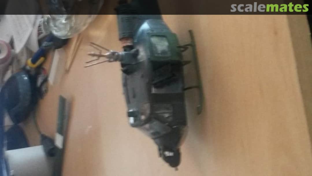 View album, image #1 View album, image #1