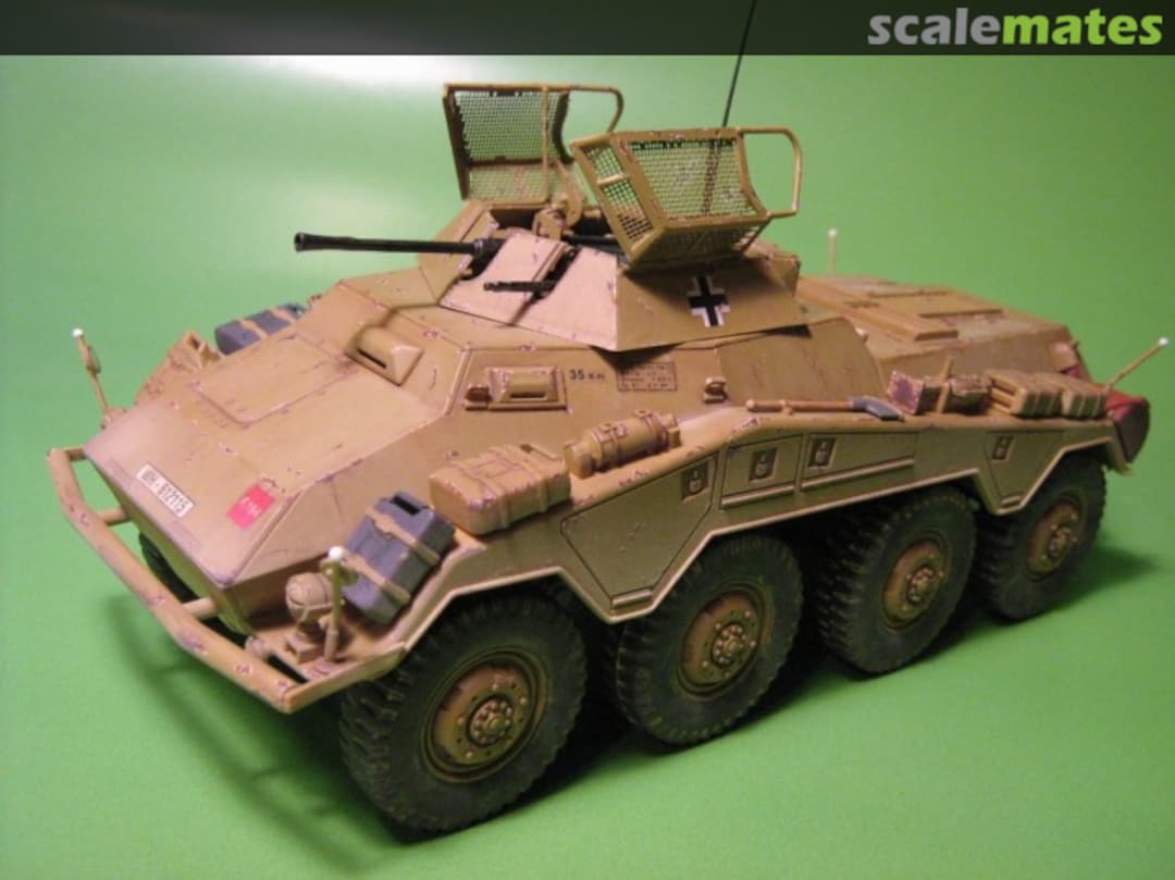 View album, image #3 View album, image #3