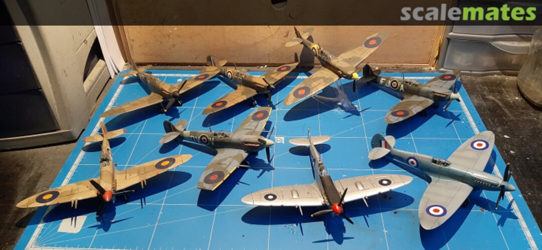 View album, image #1 View album, image #1