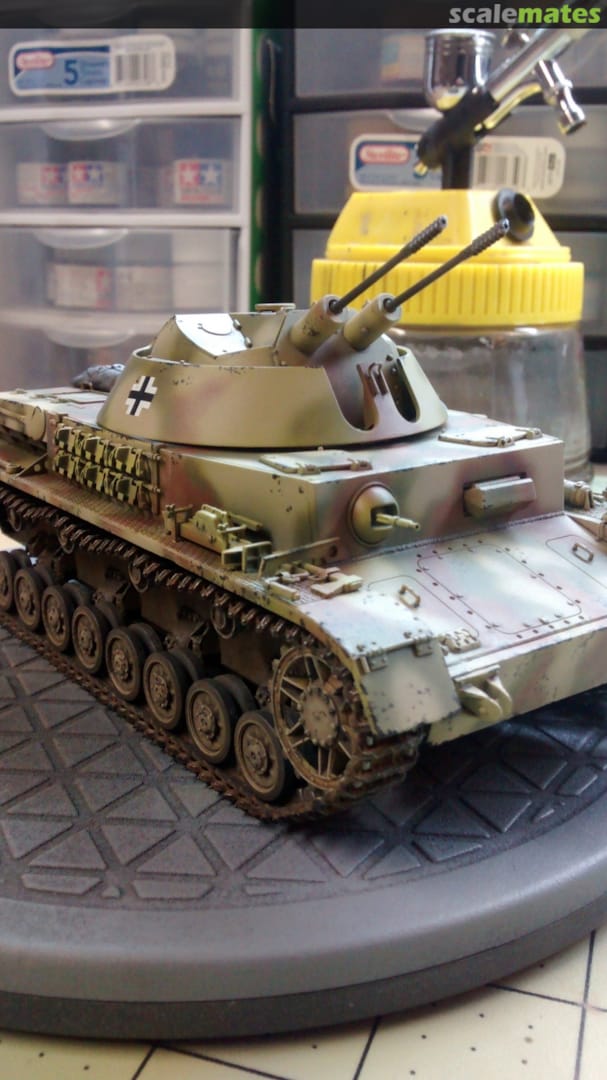 View album, image #7 View album, image #7