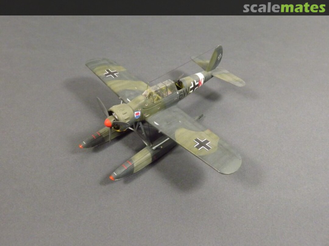 View album, image #1 View album, image #1