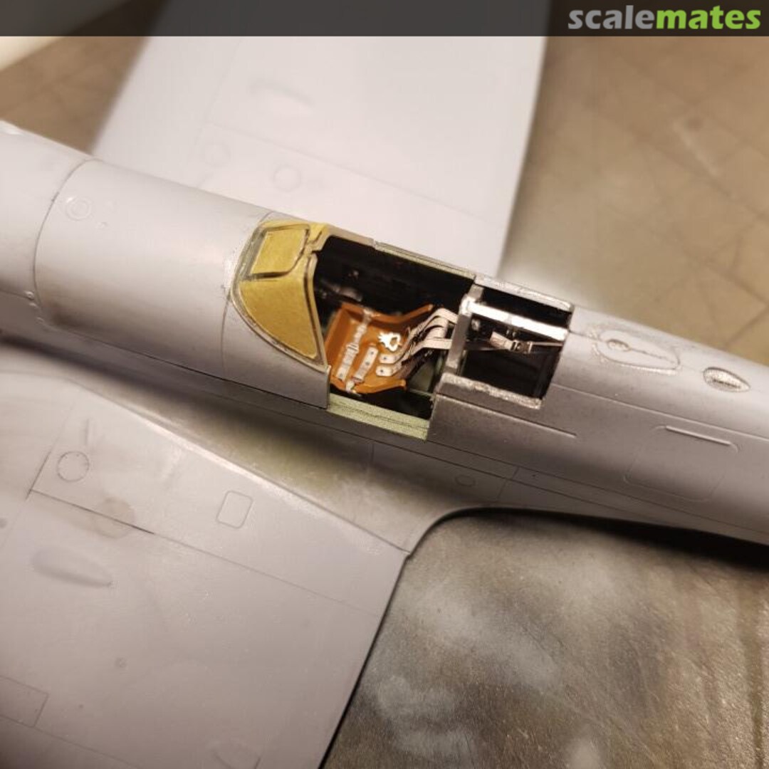 View album, image #1 View album, image #1