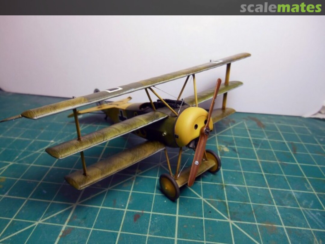 View album, image #1 View album, image #1