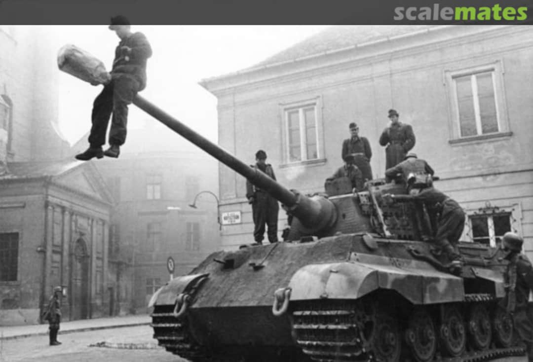 View album, image #1