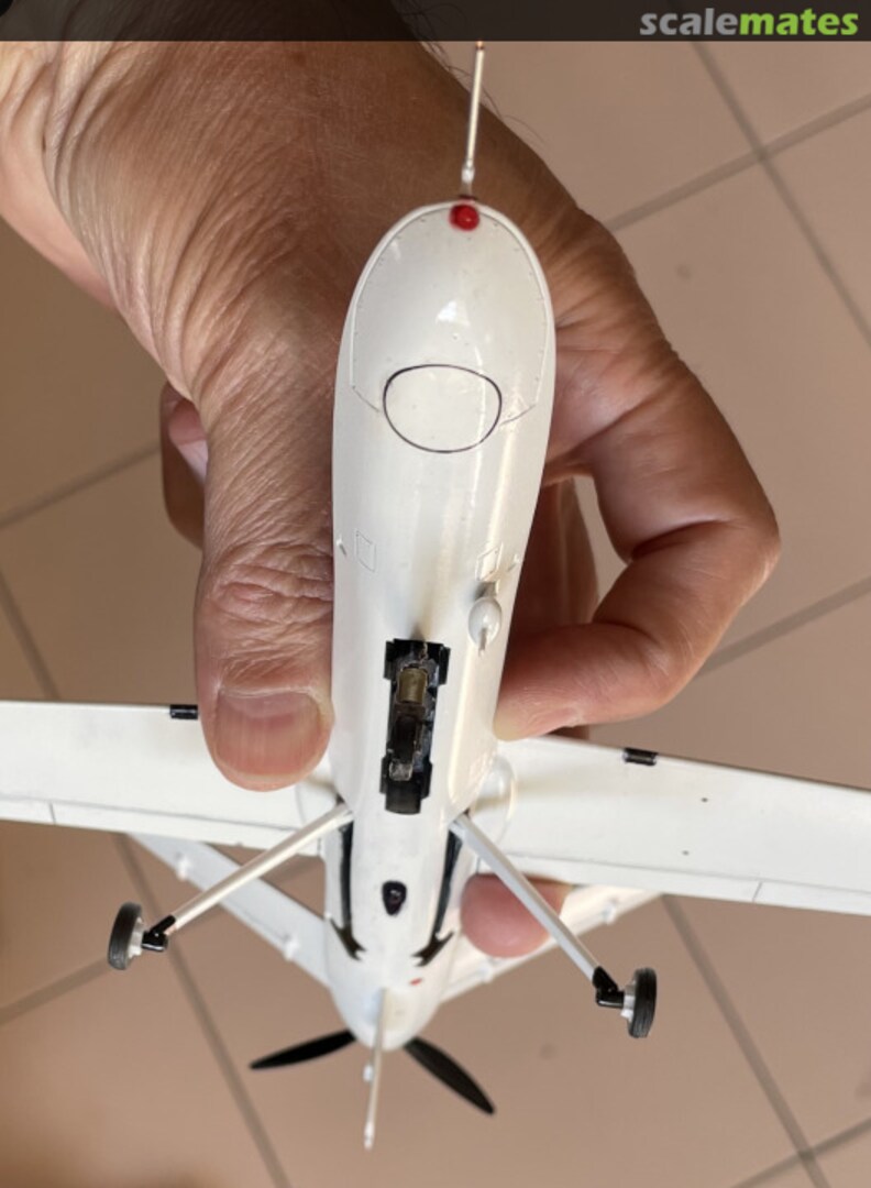 View album, image #1 View album, image #1