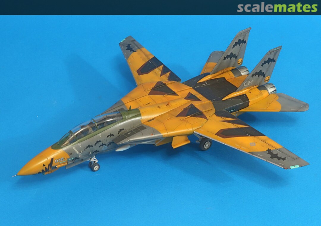 View album, image #1 View album, image #1