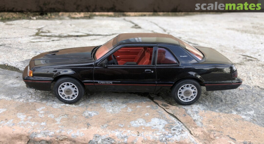 View album, image #1 View album, image #1